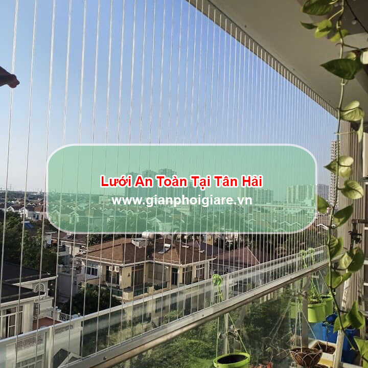 Lưới an toàn tại Tân Hải